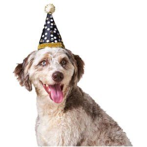 Bailey & Bella New Year's Sparkle Dot Pet Party Hat Black Gold xs/small nwt